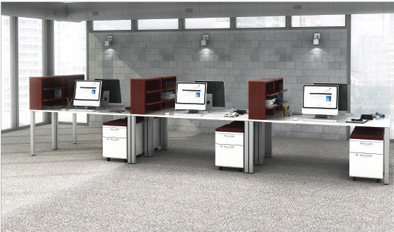 6 Station / Desktop Org