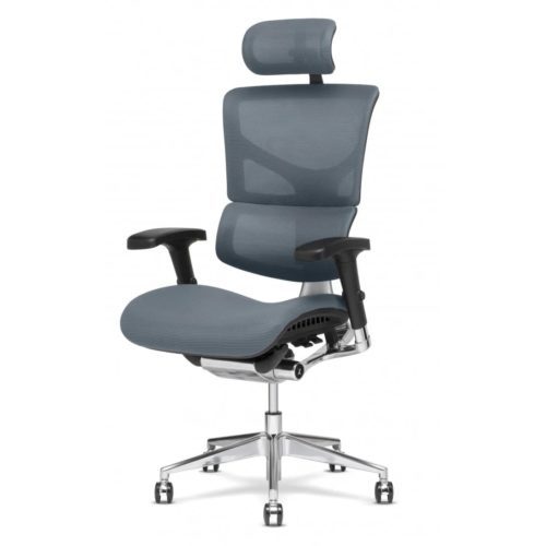 13 ergonomic X chair price canada for Home Decor