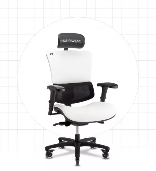 XG-Wing Split-Back Management Office Chair